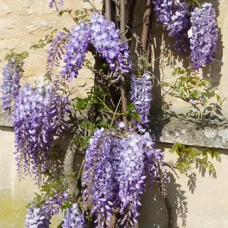 La Charretterie Bed & Breakfast