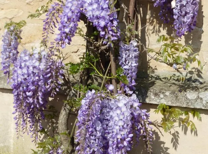 La Charretterie Bed & Breakfast